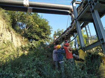 追趕超越，他們用行動爭做排頭兵