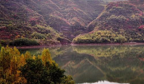 韓城香山紅葉又紅啦