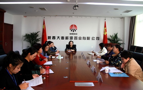 西安永大倡導(dǎo)稅務(wù)師事務(wù)所專(zhuān)家蒞臨大秦置業(yè)公司座談交流