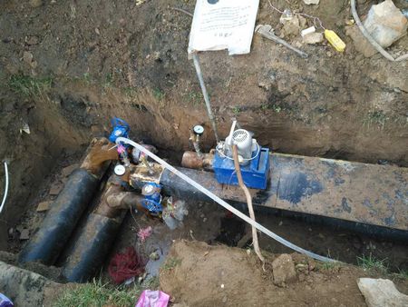 “片片”真情送溫暖