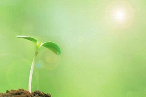 歲生之初，且聽我說