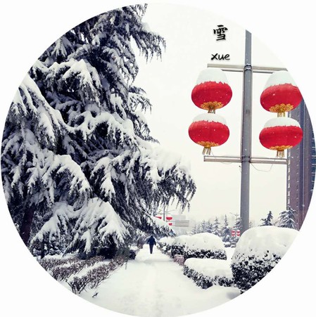 雪，寒冬里的溫柔