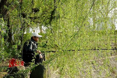 春天，一個多么富有詩意的名字啊！
