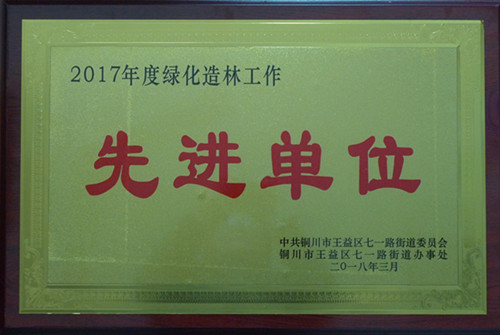 機(jī)電安裝公司榮獲銅川市七一地區(qū)綠化造林先進(jìn)單位榮譽(yù)稱號(hào)