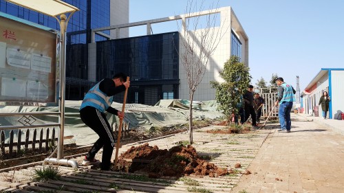 陜煤建設澄合分公司基層單位開展“植樹護綠，美麗家園”義務植樹活動