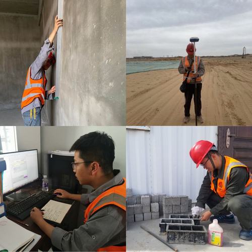 我的青春誰(shuí)做主 鋼筋混凝土