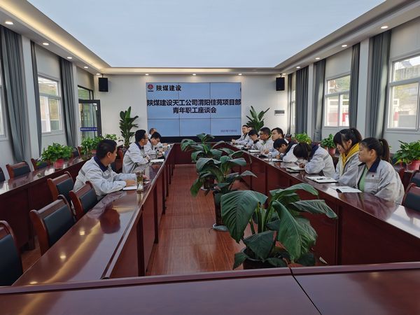 陜煤建設(shè)天工公司渭陽佳苑項(xiàng)目部召開“學(xué)習(xí)本領(lǐng)+錘煉品德”專題青工座談會(huì)