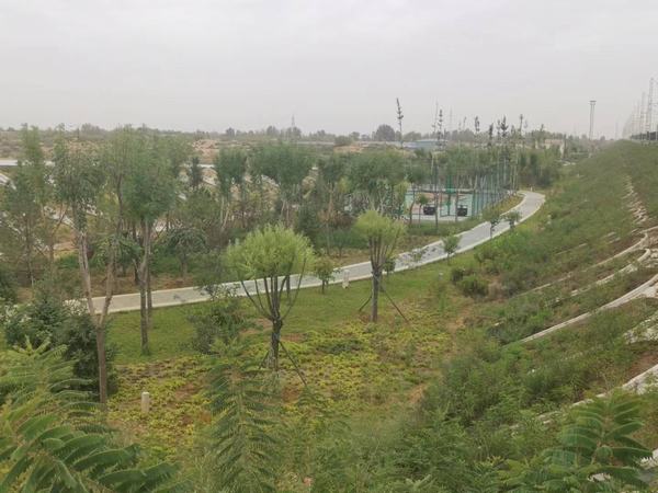 陜煤建設銅煤公司第八項目部承建的靖神鐵路站區(qū)景觀綠化工程順利通過竣工驗收