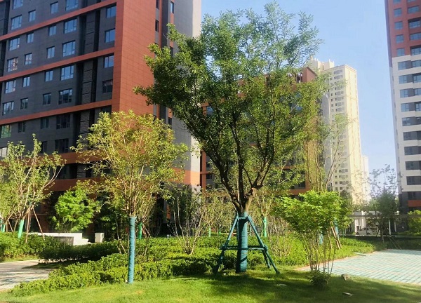 陜煤建設綠宇公司：藍山水岸項目收尾顯擔當  大干快干展新顏