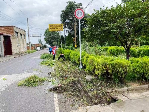 “澄合紅”點(diǎn)亮“志愿燈”