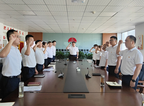 陜煤建設(shè)榆林公司黨支部開(kāi)展“重溫入黨誓詞 堅(jiān)定理想信念”主題黨日活動(dòng)