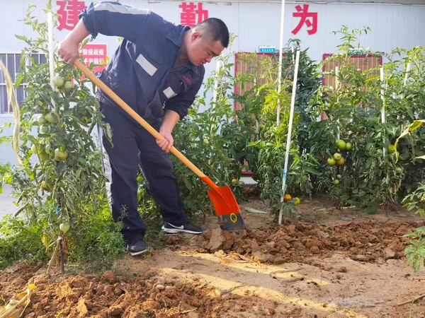 陜煤建設洗選煤運營公司第七項目部：開墾“試驗田” 扎根大荒漠