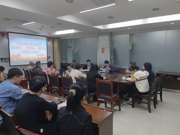 陜煤建設(shè)各單位傳達(dá)落實建設(shè)集團(tuán)穩(wěn)增長、防風(fēng)險、強作風(fēng)工作部署會議精神