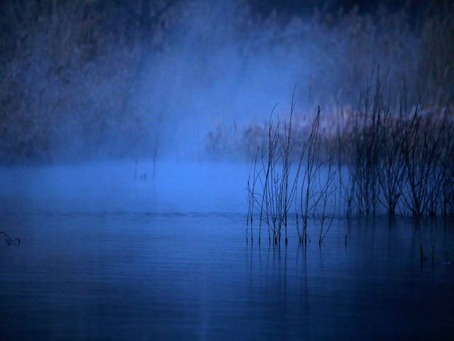 “冬月”你好！