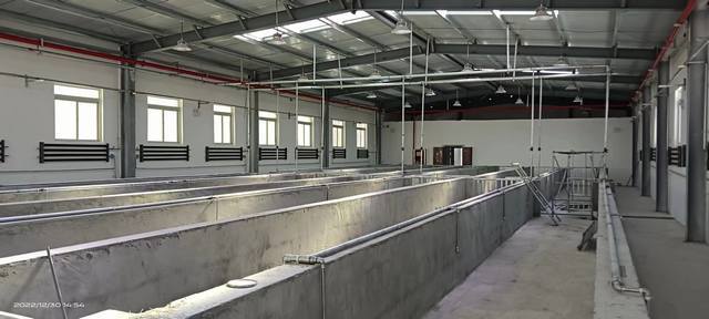 陜煤建設(shè)韓城分公司：年終歲末，西藏喜訊接踵而至！