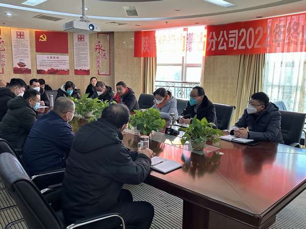 內蒙古分公司召開2022年度青年員工座談會