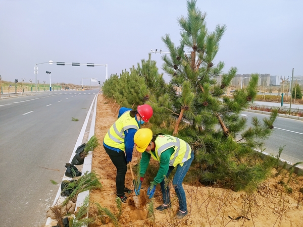 陜煤建設(shè)承建的科創(chuàng)新城市政一期工程N(yùn)1項(xiàng)目經(jīng)理部全面啟動(dòng)綠化作業(yè)