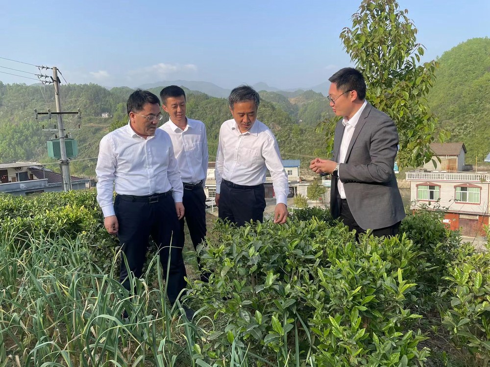 王明智深入陜煤建設(shè)定點(diǎn)幫扶村調(diào)研扶貧工作