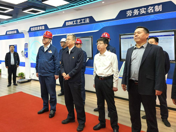 渭南市委副書記、市長陳曉勇視察龍鋼機(jī)械化綜合一次料場項目建設(shè)情況