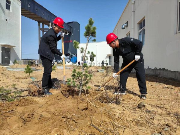 陜煤建設(shè)路橋分公司榆陽(yáng)煤炭物流園區(qū)項(xiàng)目部春風(fēng)化雨植樹(shù)忙
