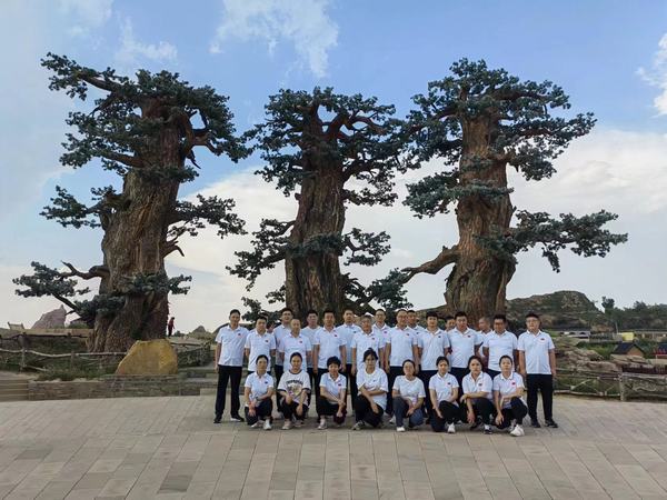 陜煤建設(shè)煤礦運(yùn)營(yíng)服務(wù)分公司：開展“放飛心情  健行健康”健步走活動(dòng)