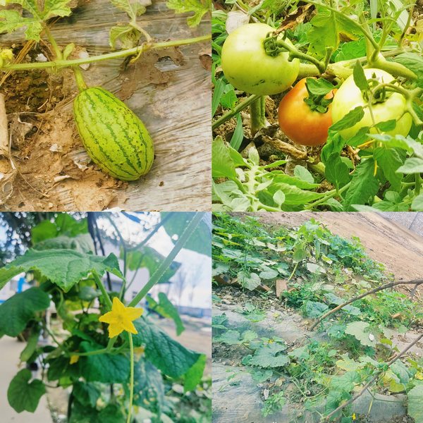 陜煤建設(shè)路橋分公司全心全意打造基層項目“幸福家”