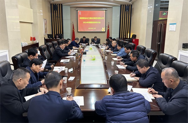 陜煤建設(shè)召開2024年預(yù)期目標(biāo)研討會