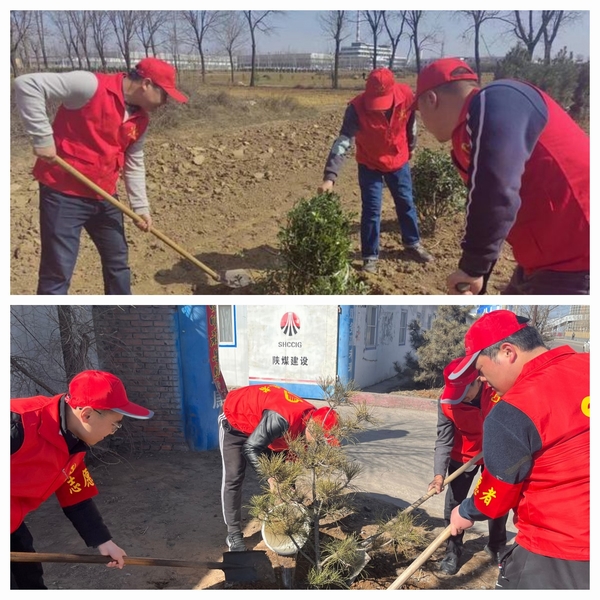 陜煤建設(shè)澄合分公司發(fā)揮黨建動力為項目工地添綠意