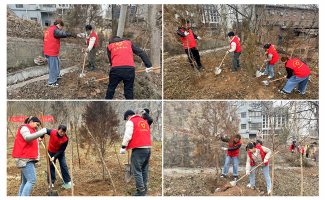 陜煤建設(shè)機(jī)電安裝公司：走，上春山，植樹去！