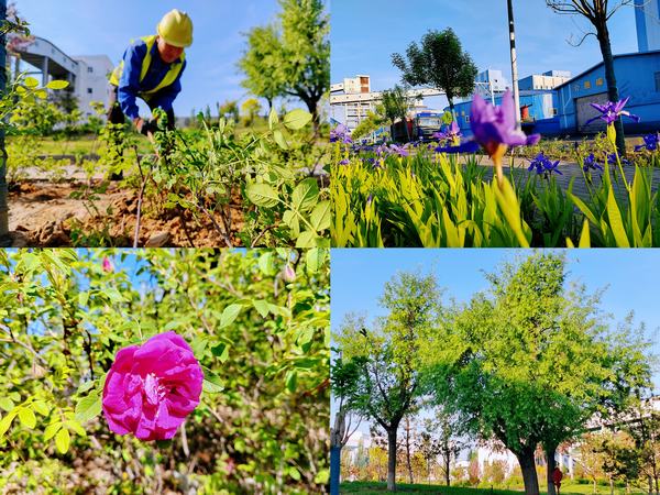 陜煤建設洗選煤運營公司紅柳林洗煤廠項目部：強化綠色三大支柱  筑牢綠色生態(tài)屏障