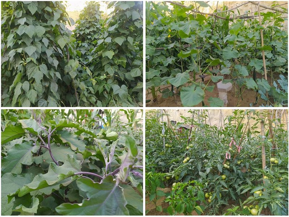 陜煤建設(shè)天工公司土建四部：雙手開(kāi)辟幸福田   汗水澆灌暖心園