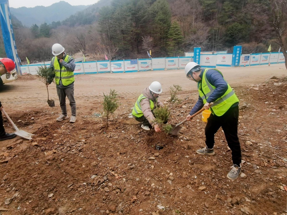 “植”此青綠，陜煤建設(shè)路橋分公司春風(fēng)十里添新林