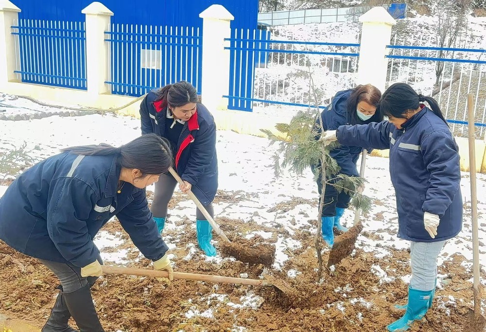 陜煤建設(shè)礦建三公司：巾幗添綠綻芳華，共筑生態(tài)新環(huán)境