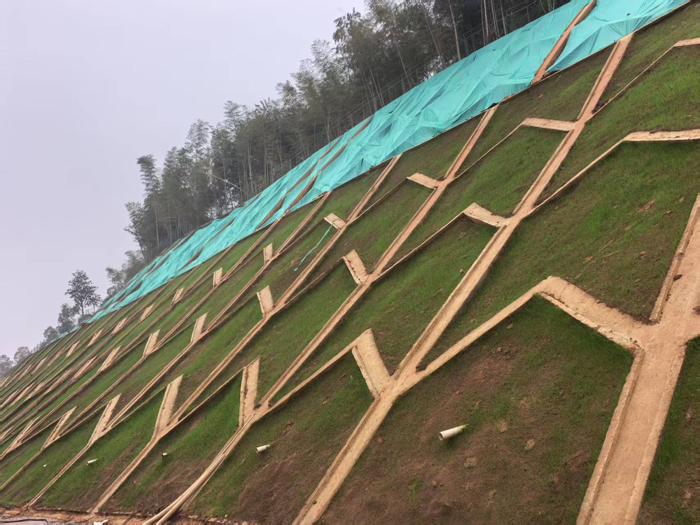 陜煤建設(shè)西北分公司：邊坡披綠衣，防護(hù)顯匠心