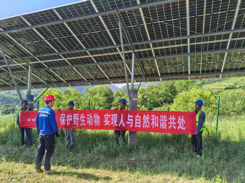 陜煤建設(shè)西北分公司機(jī)電安裝項(xiàng)目部：為野生動物撐起“生態(tài)保護(hù)傘”