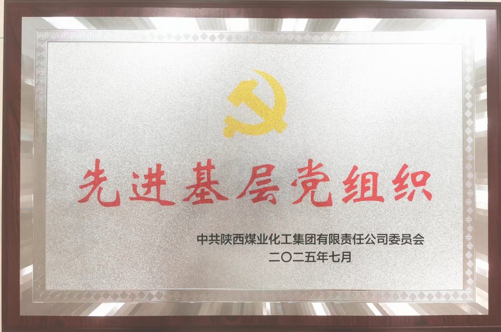 陜煤建設銅煤公司黨委“黨建+”賦能高質量發(fā)展獲殊榮