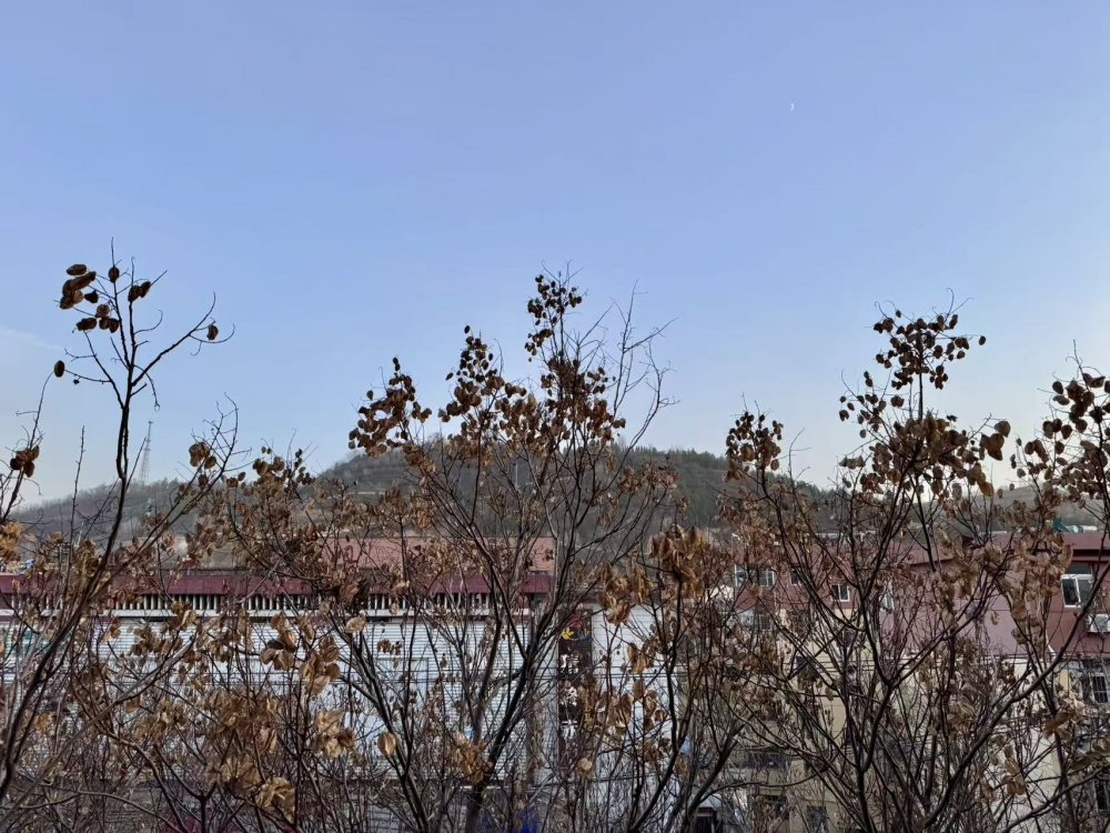 秋意漸濃時(shí)，回望來時(shí)路