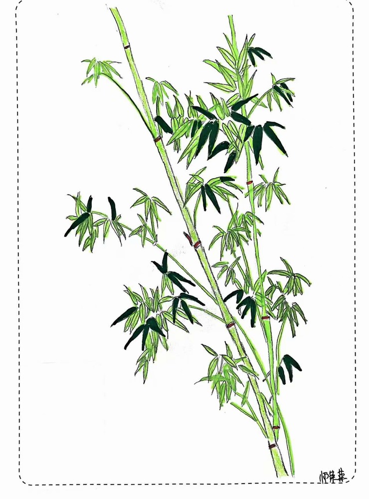 漫說廉潔！這組“草木廉盟”太可了