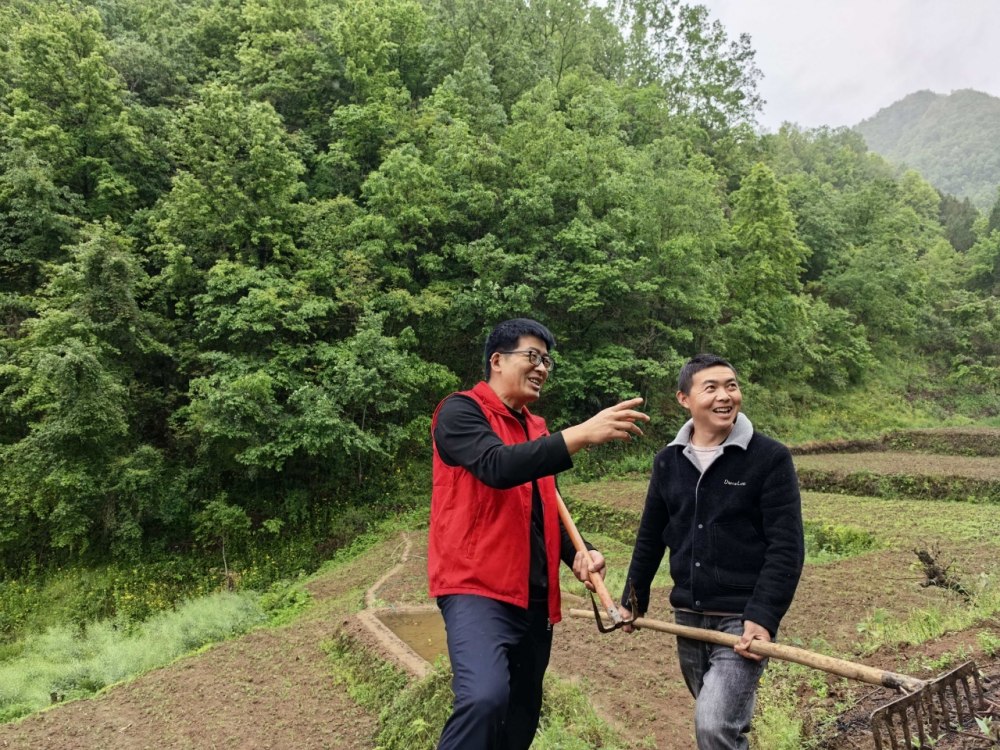 雨生百谷，情滿山村